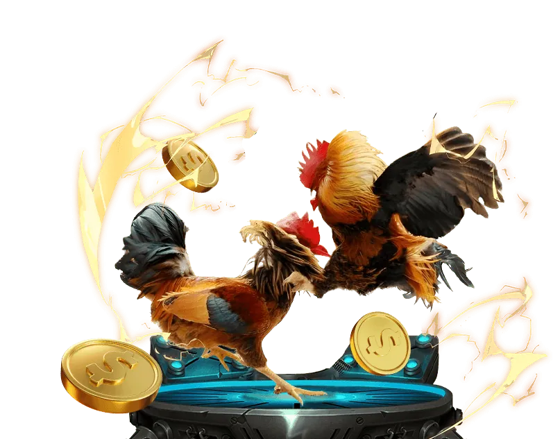 Tổng quan các giải đấu bóng đá 2024